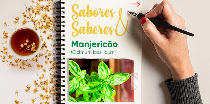 Sabores e saberes - Manjericao 1